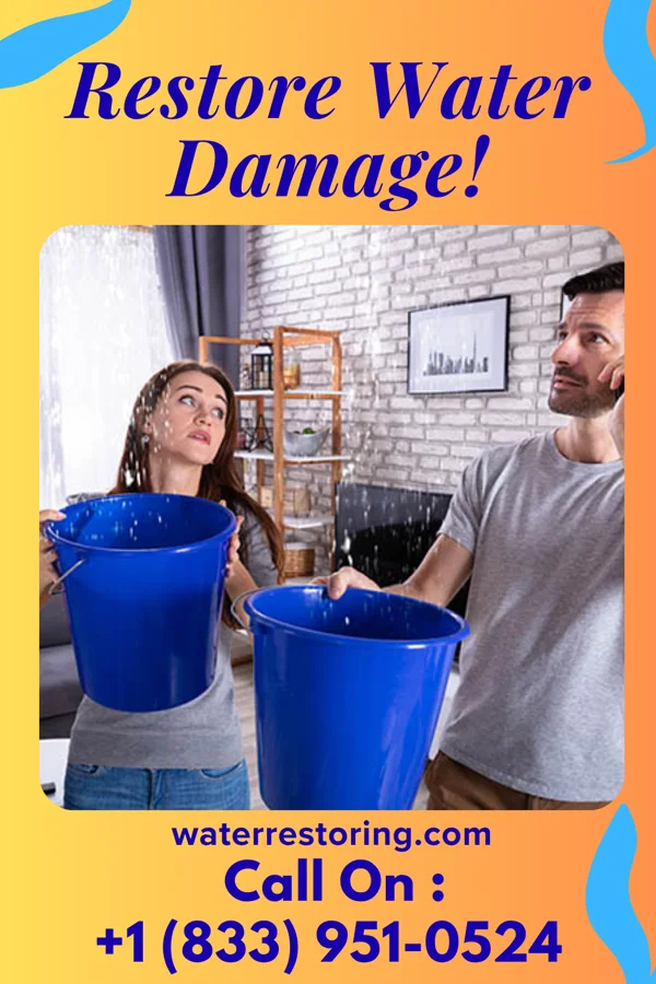water restoration Quality Flood Damage Authority Camp Douglas