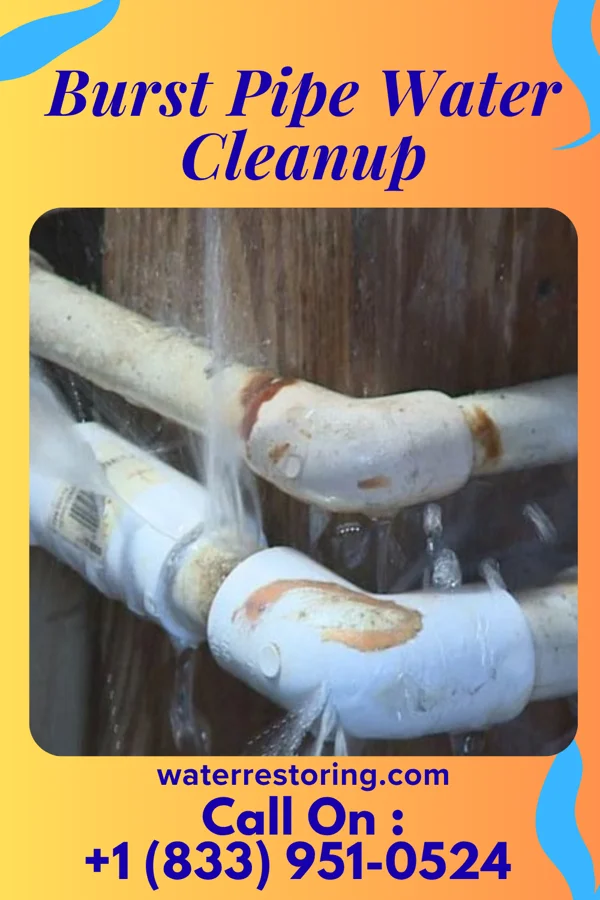 Burst Pipe Water Cleanup in Camp Douglas, WI