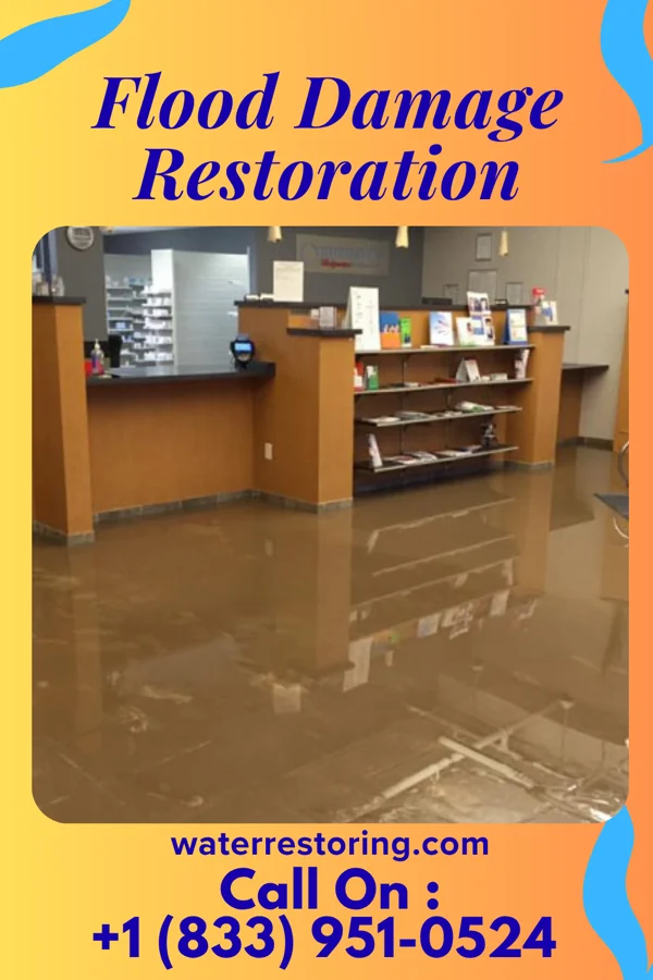 Flood Damage Restoration in Camp Douglas, WI