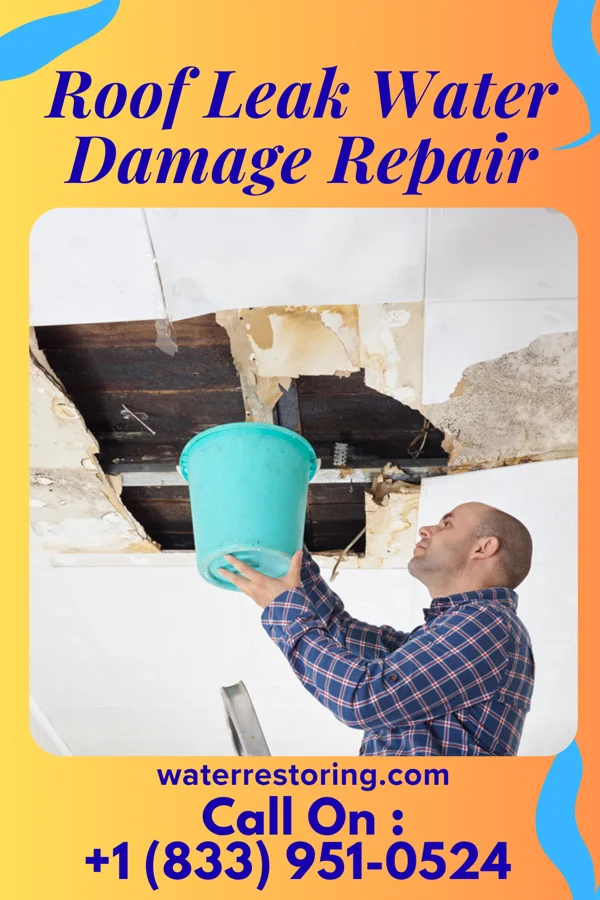 Roof Leak Water Damage Repair in Camp Douglas, WI