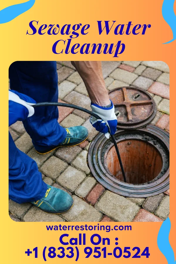 Sewage Water Cleanup in Camp Douglas, WI