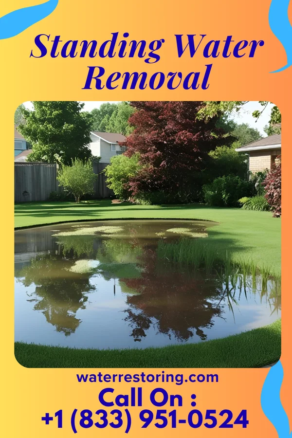 Standing Water Removal in Camp Douglas, WI